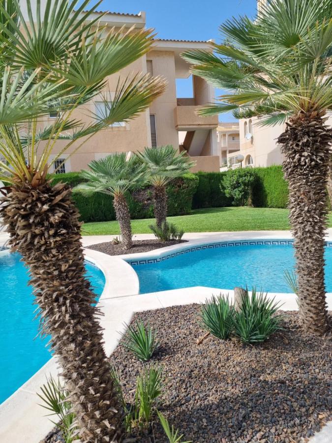 Flamenco Penthouse Sea View & Swimming Pool Leilighet Torrevieja Eksteriør bilde